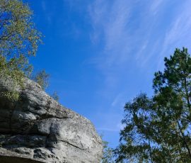 DSC_1994_DxO